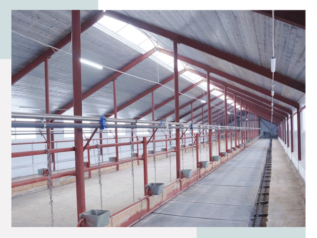 Строительство коровников в Тобольске от 610 руб.