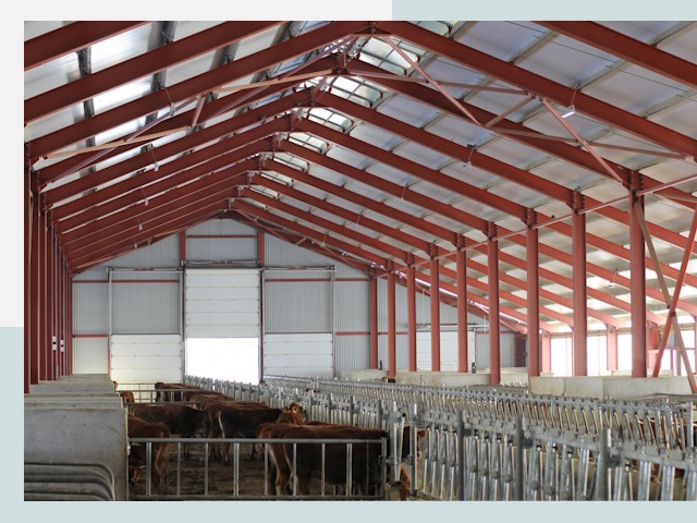 Строительство коровников в Тобольске