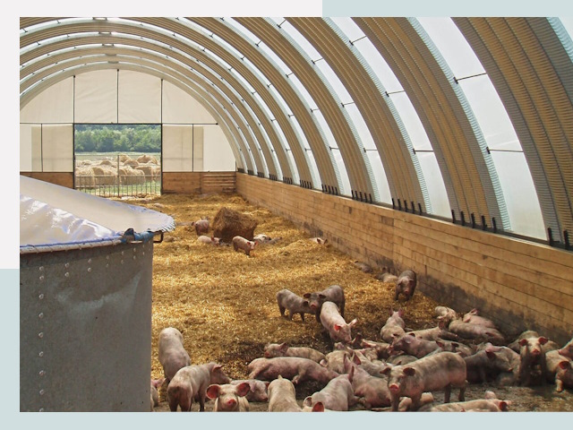 Строительство свинарников в Тобольске