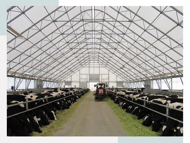 Тентовые коровники в Тобольске от 610 руб. - Надежно и доступно