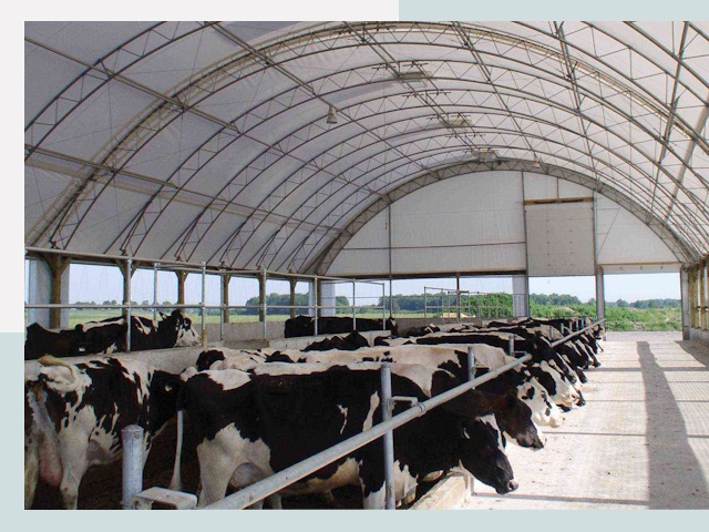 Тентовые коровники в Тобольске